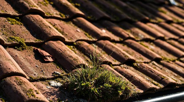 Breiz Toit toiture : la clé pour un toit en parfait état